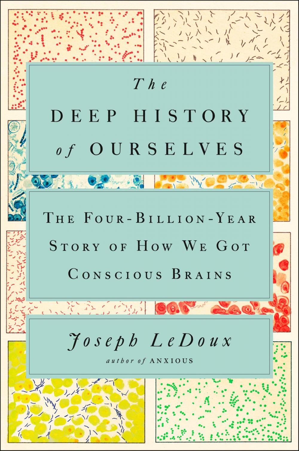 Big bigCover of The Deep History of Ourselves