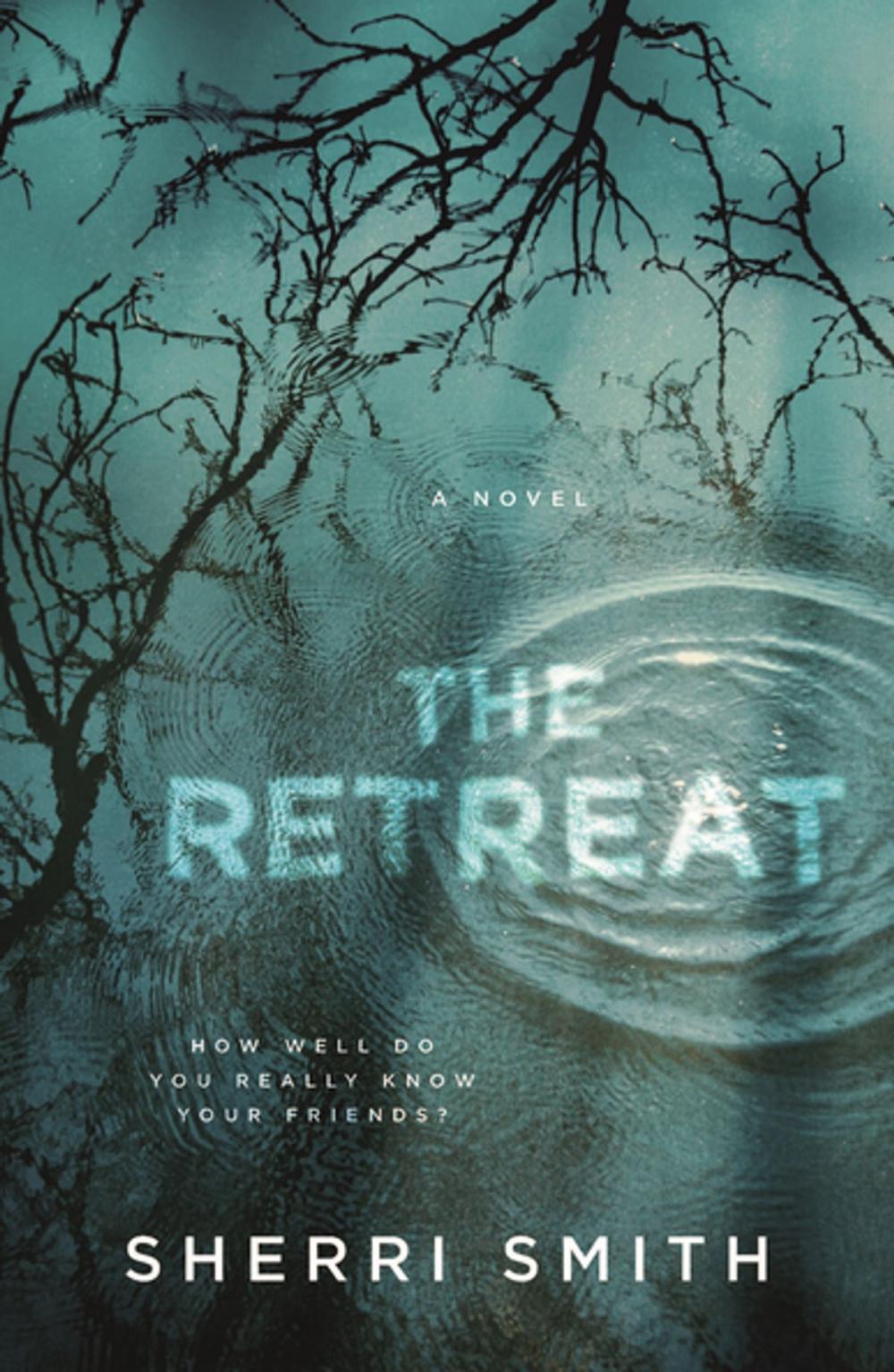 Big bigCover of The Retreat