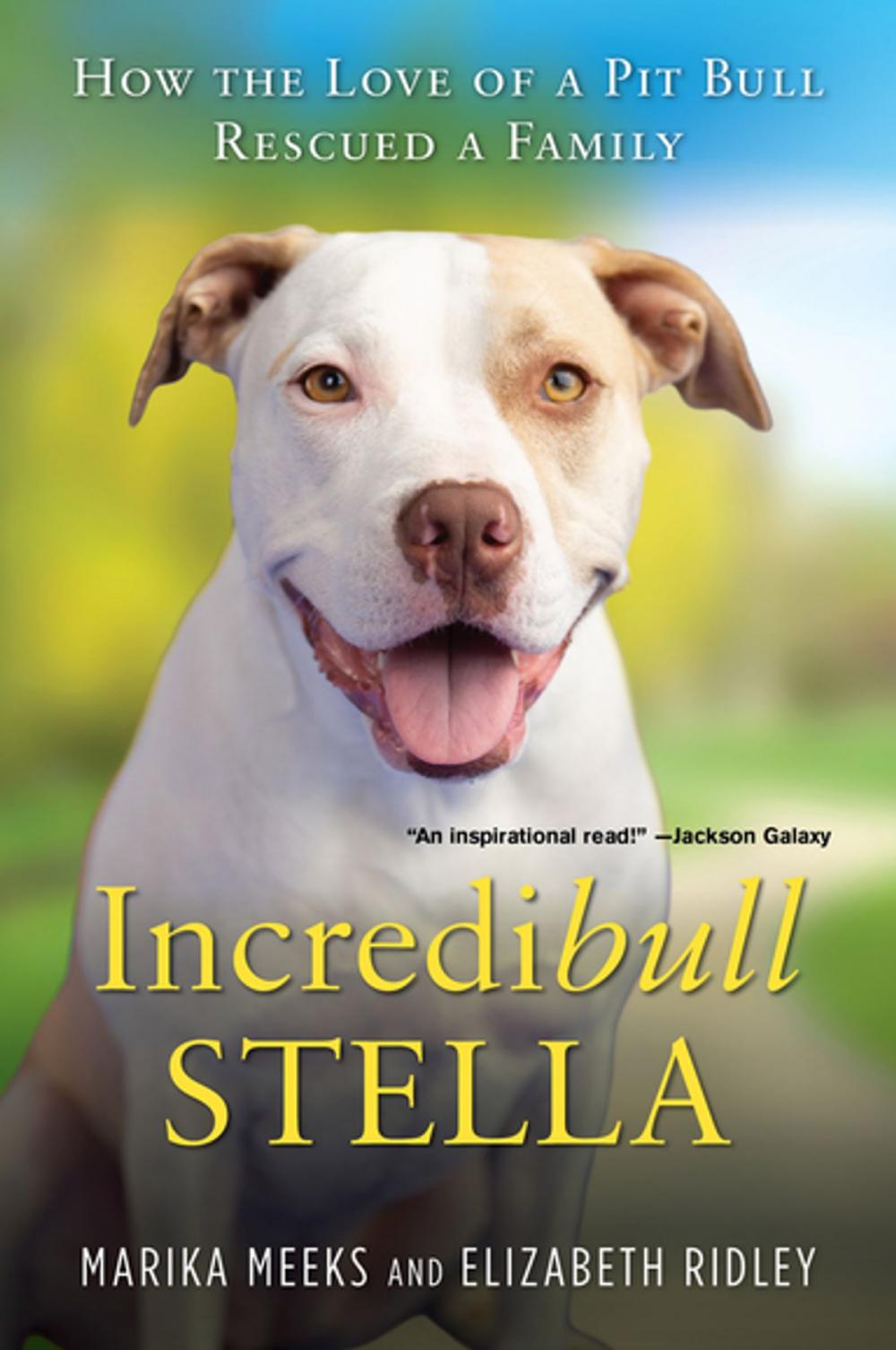 Big bigCover of Incredibull Stella