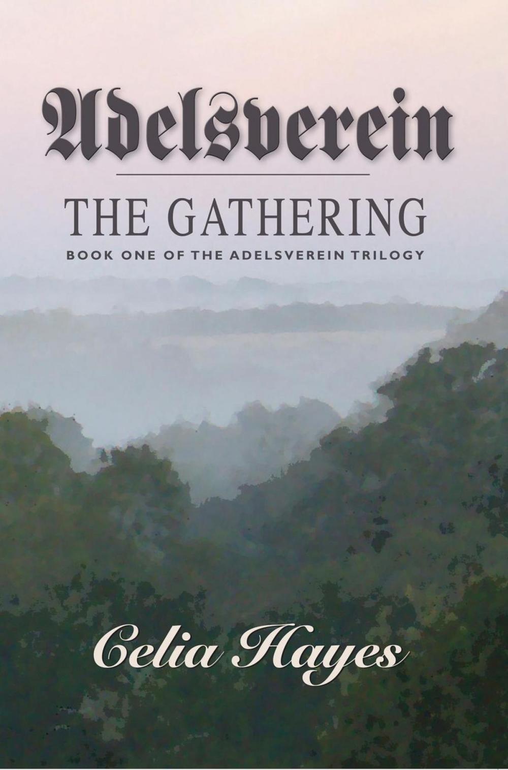 Big bigCover of Adelsverein - The Gathering