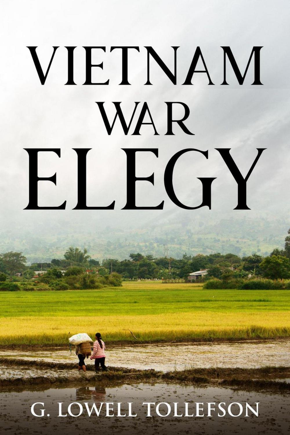 Big bigCover of Vietnam War Elegy