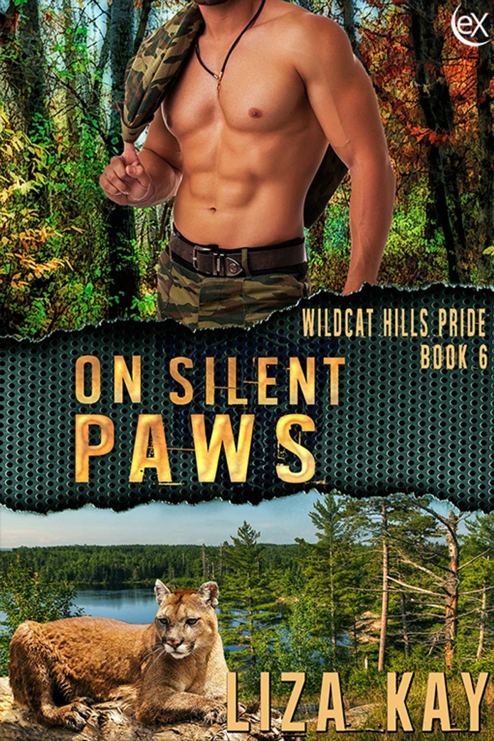 Big bigCover of On Silent Paws