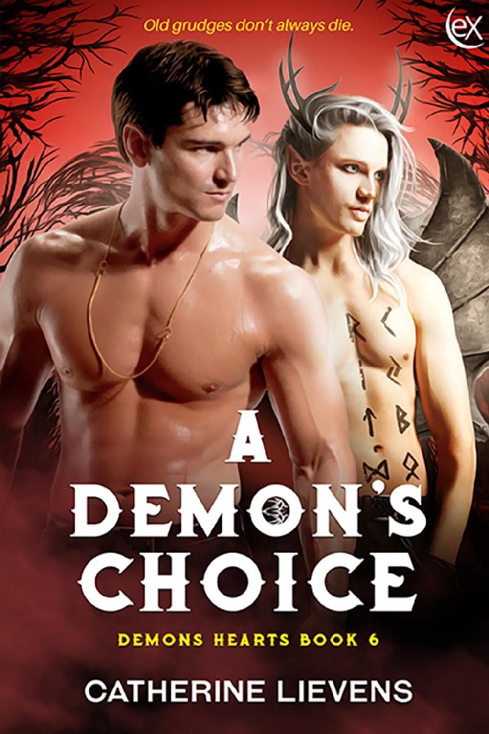 Big bigCover of A Demon's Choice