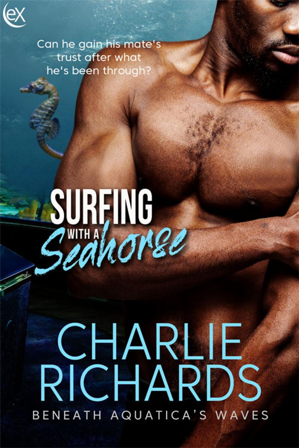 Big bigCover of Surfing with a Seahorse