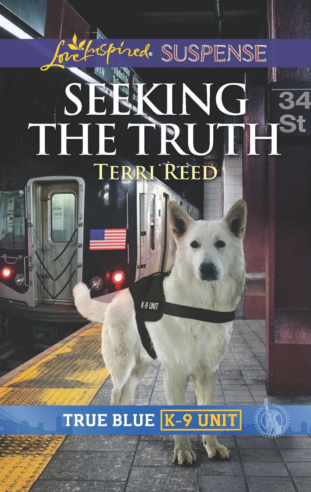 Big bigCover of Seeking the Truth