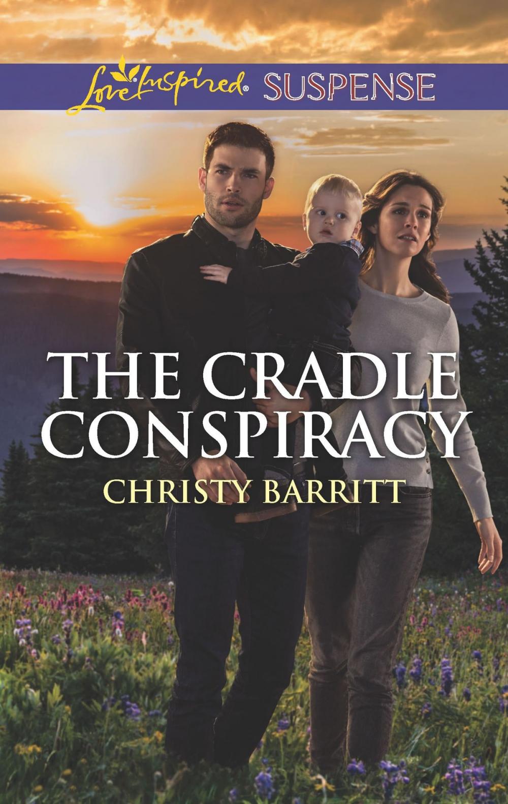 Big bigCover of The Cradle Conspiracy