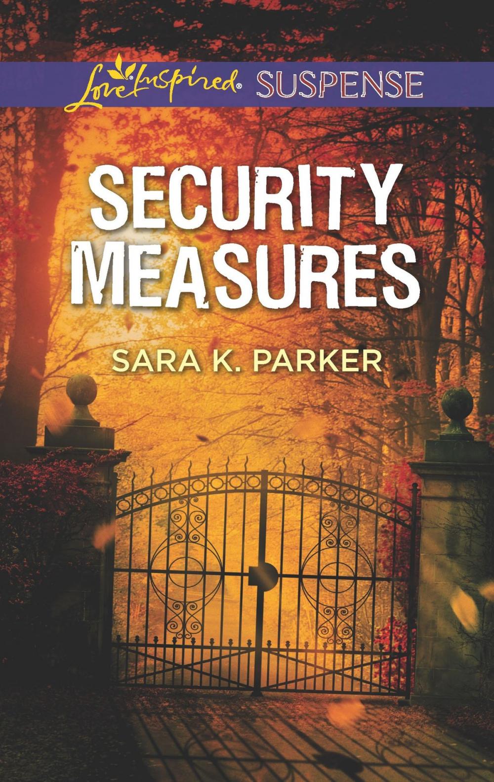 Big bigCover of Security Measures