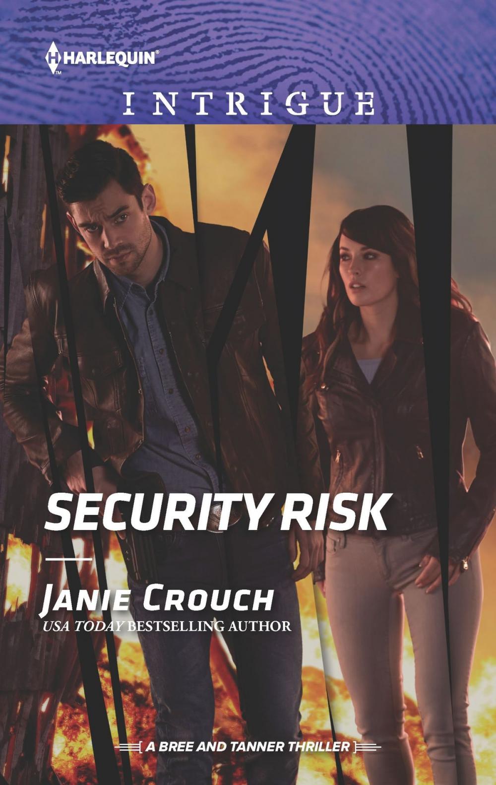 Big bigCover of Security Risk