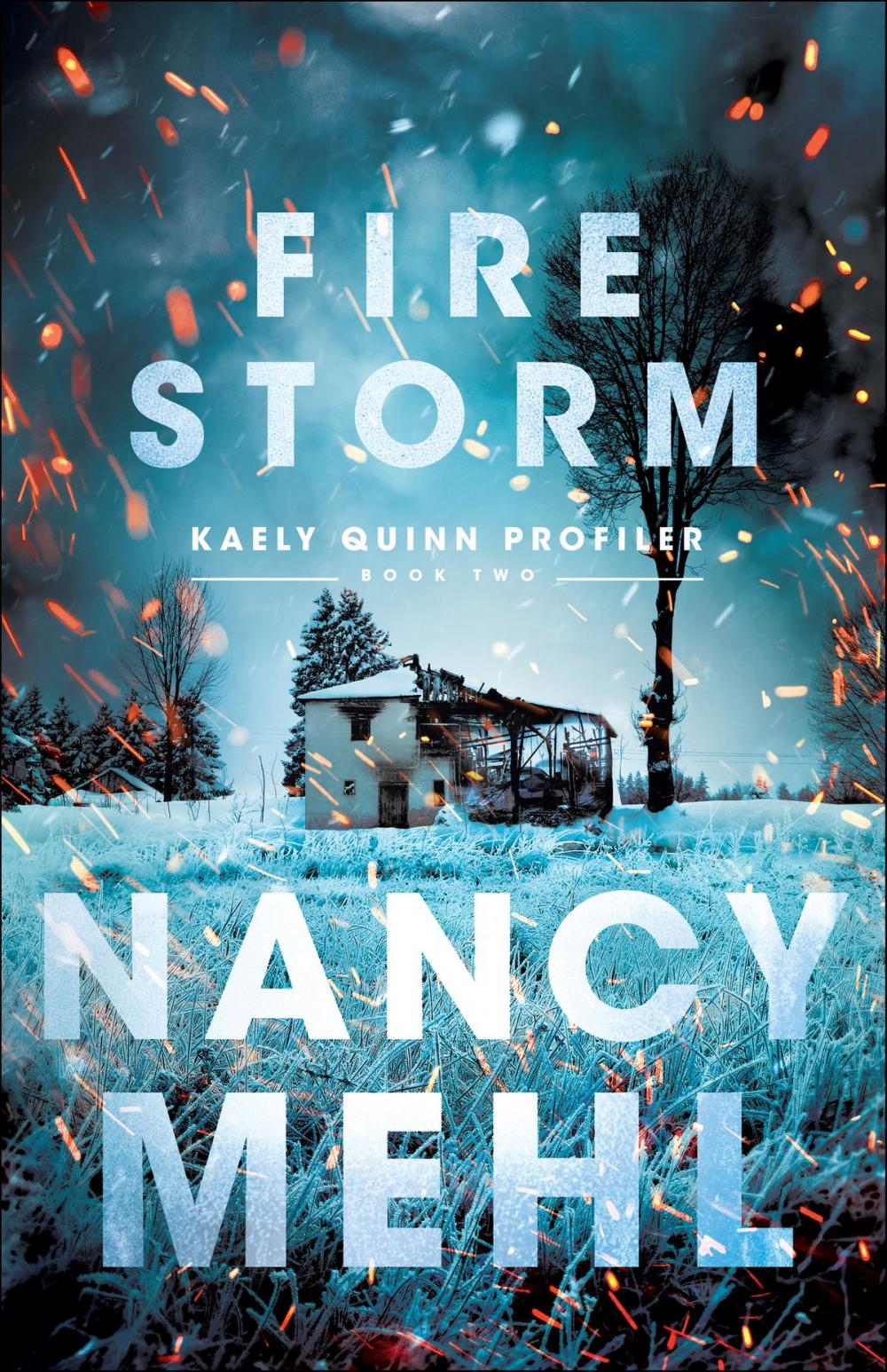 Big bigCover of Fire Storm (Kaely Quinn Profiler Book #2)