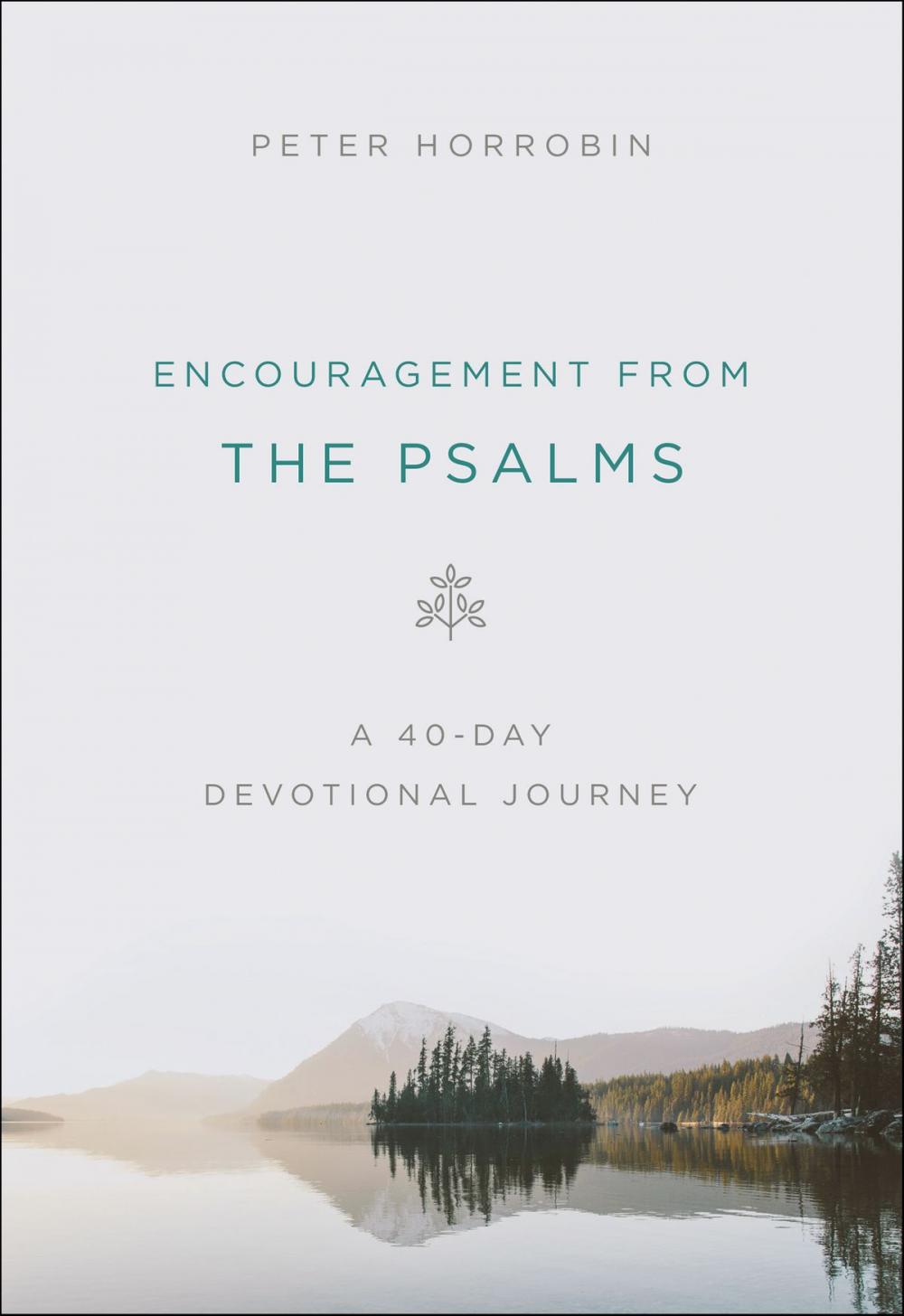 Big bigCover of Encouragement from the Psalms