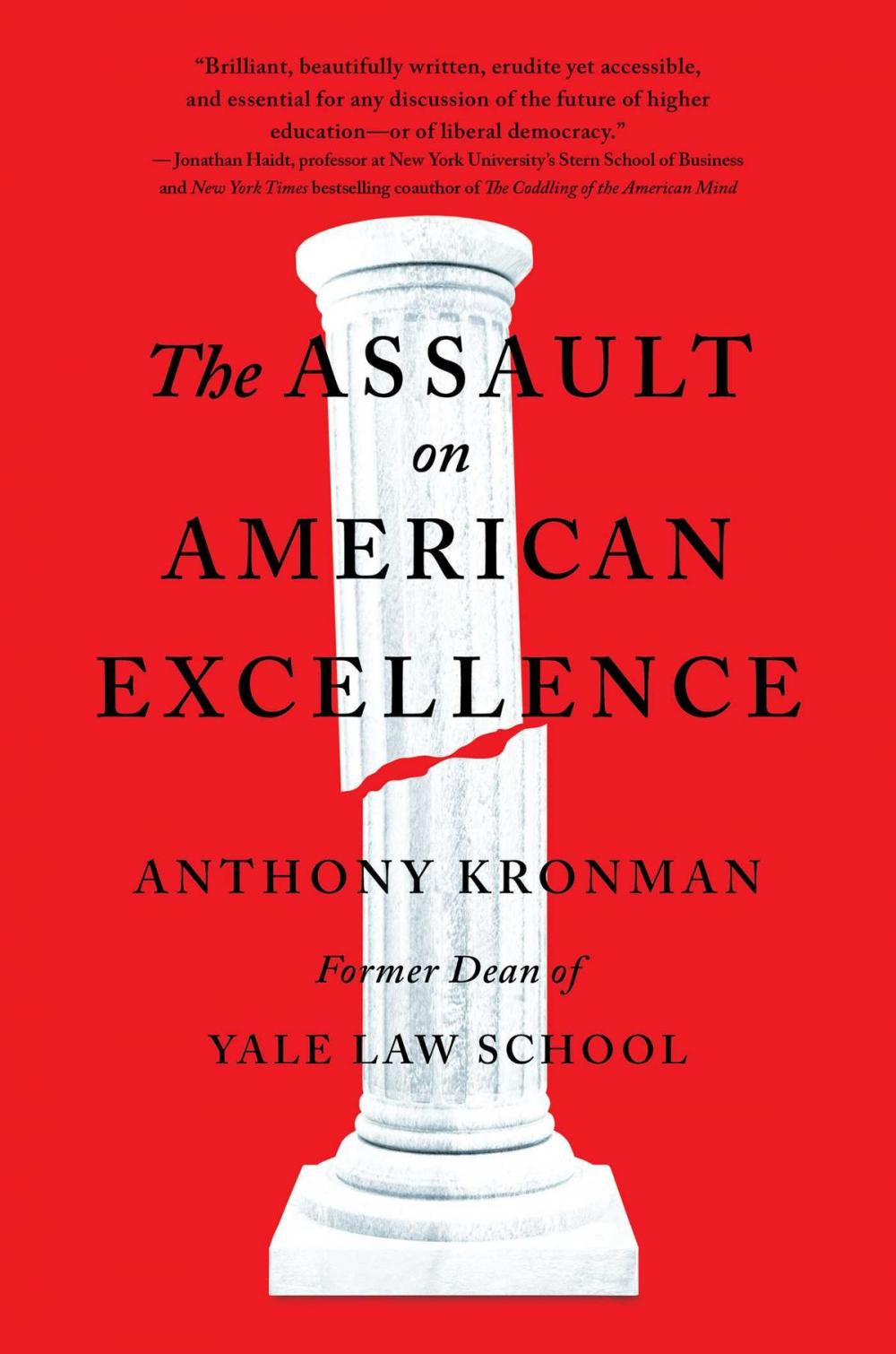 Big bigCover of The Assault on American Excellence