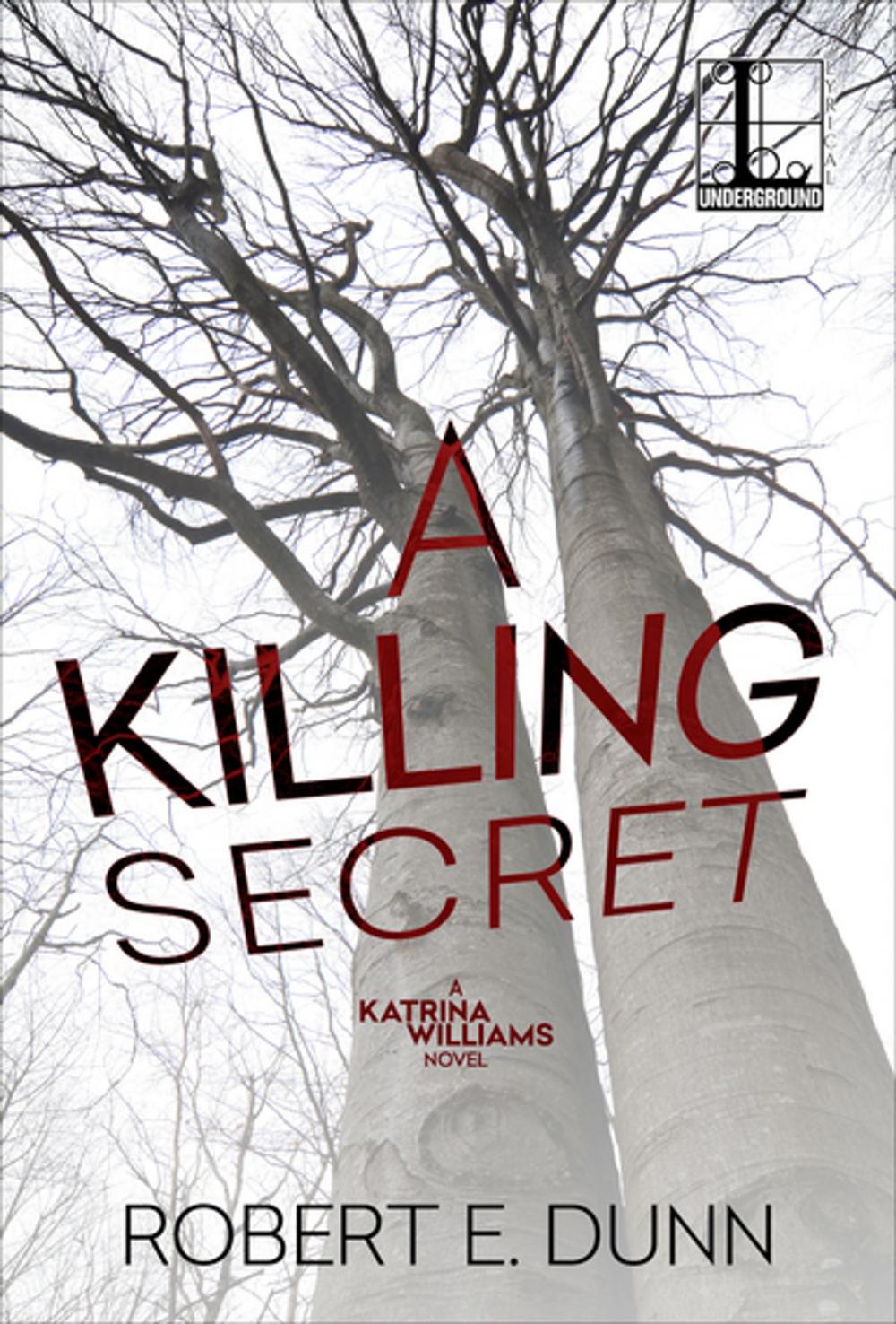 Big bigCover of A Killing Secret