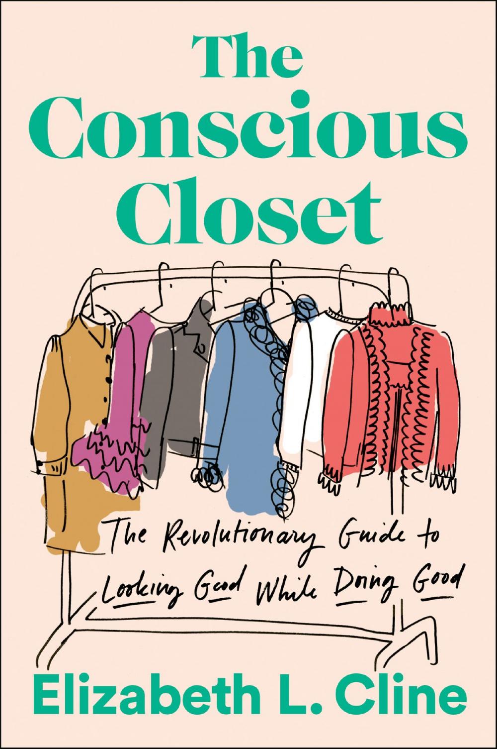 Big bigCover of The Conscious Closet