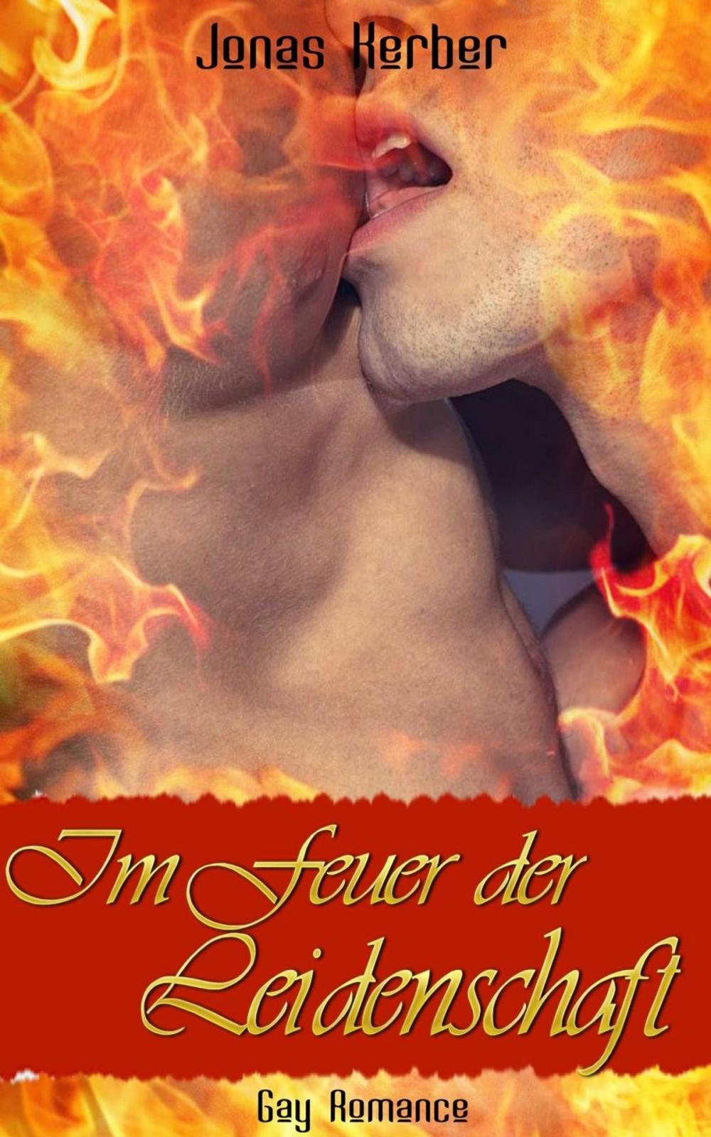 Big bigCover of Im Feuer der Leidenschaft (Gay Romance)