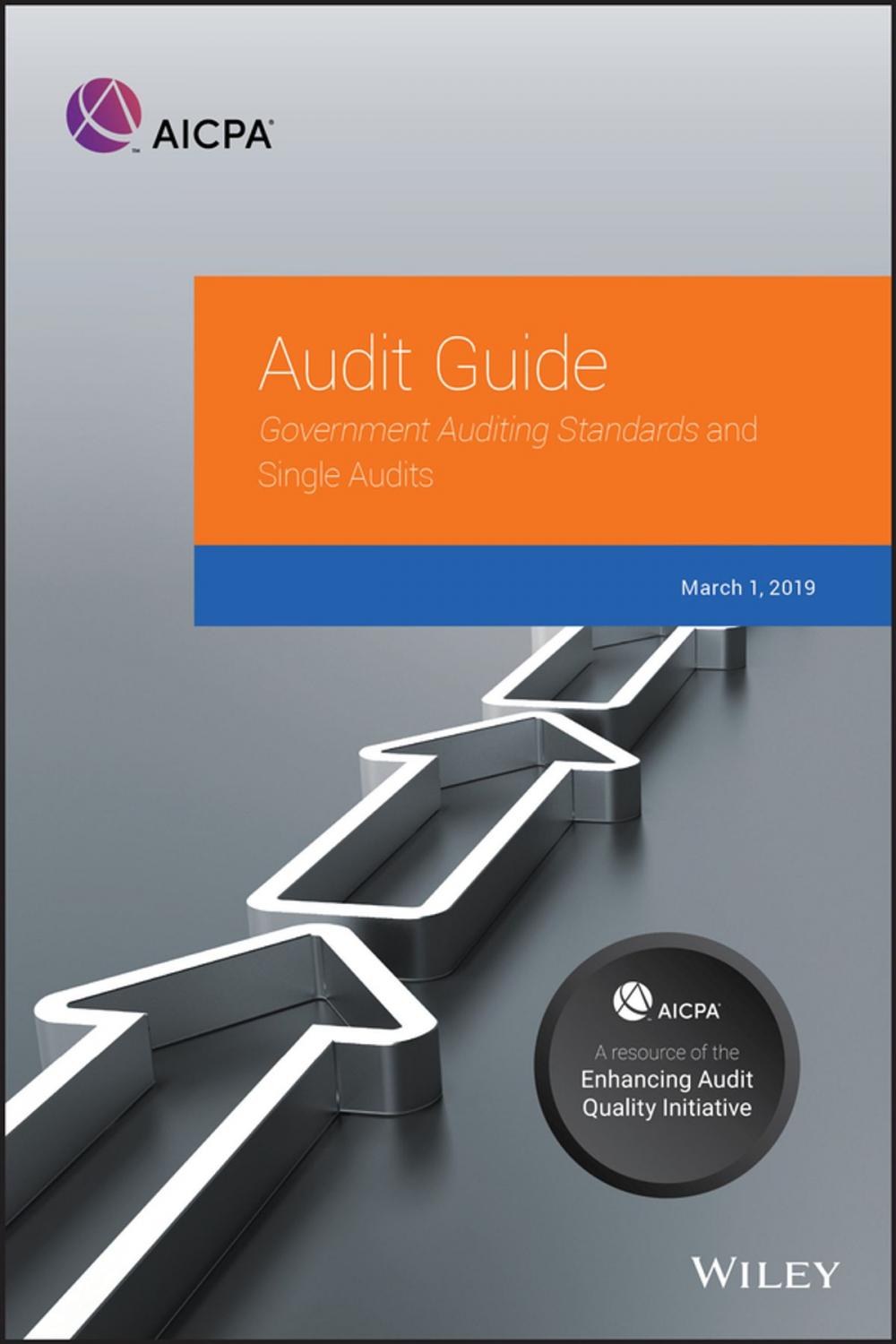 Big bigCover of Government Auditing Standards and Single Audits 2019