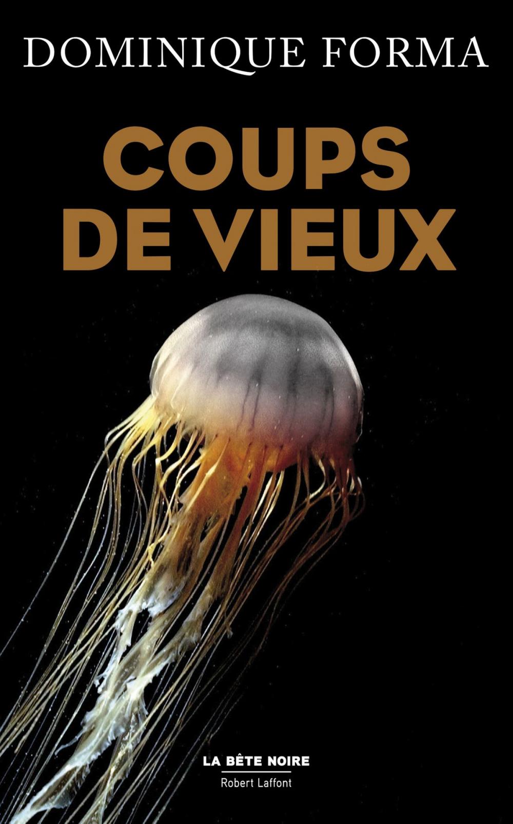 Big bigCover of Coups de vieux