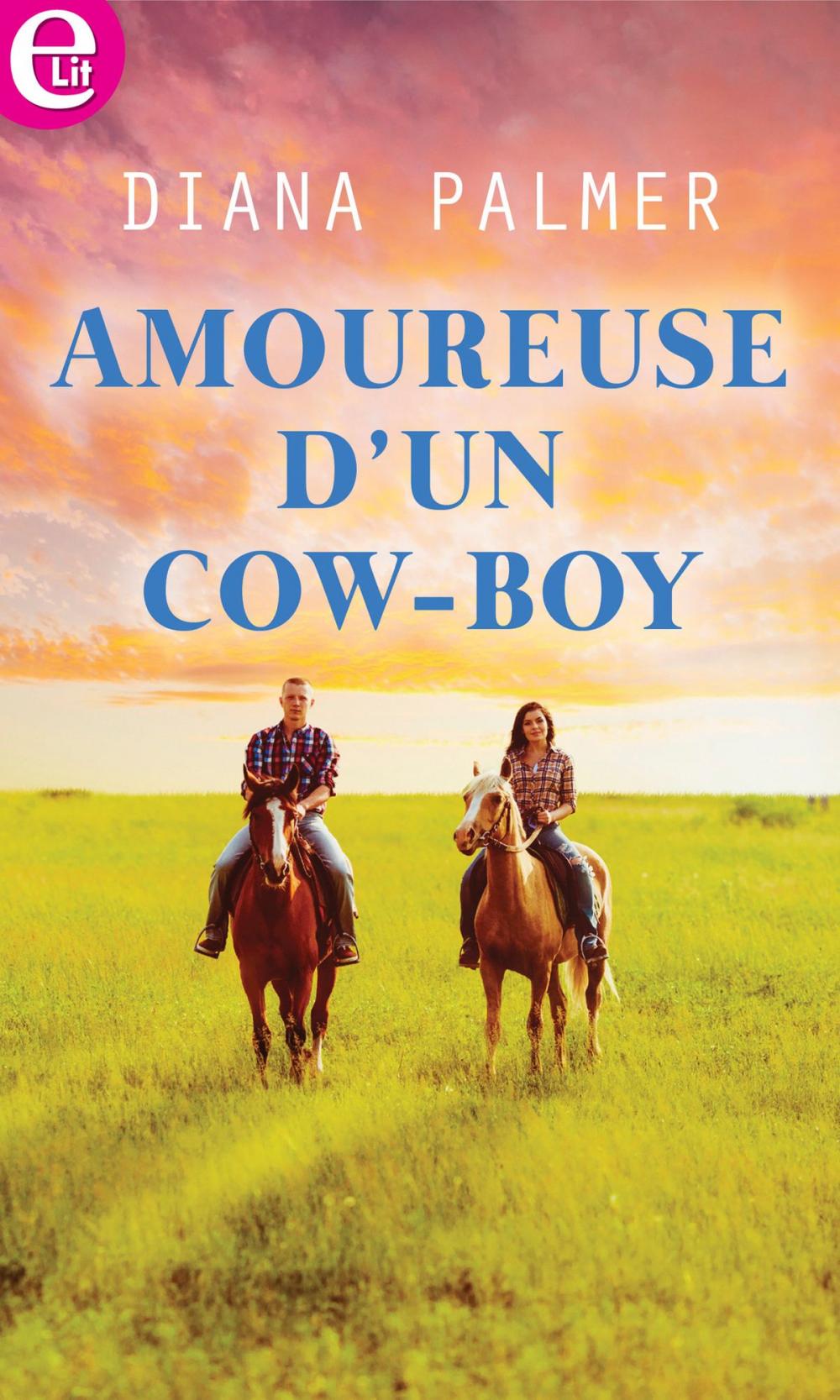 Big bigCover of Amoureuse d'un cow-boy