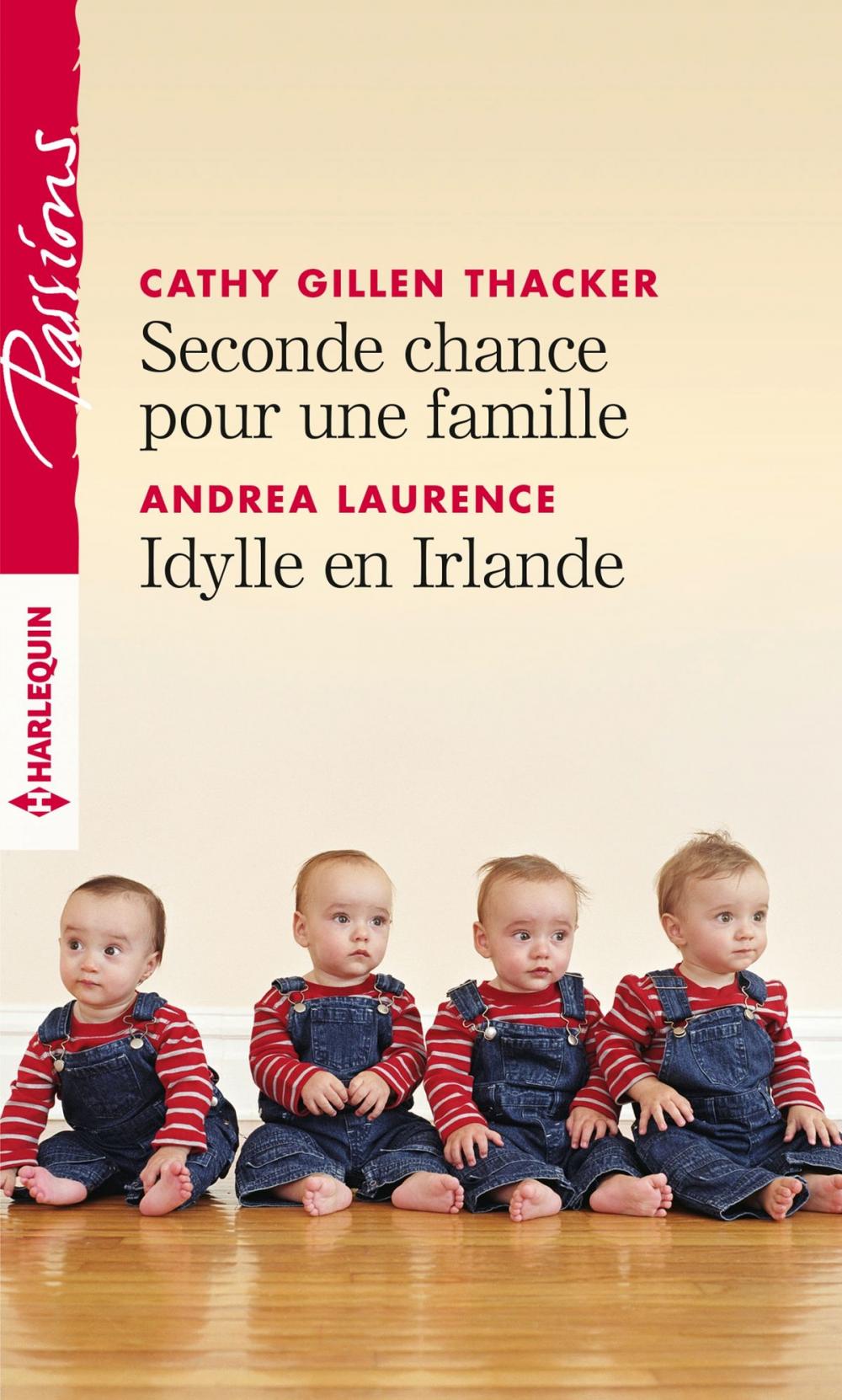 Big bigCover of Seconde chance pour une famille - Idylle en Irlande