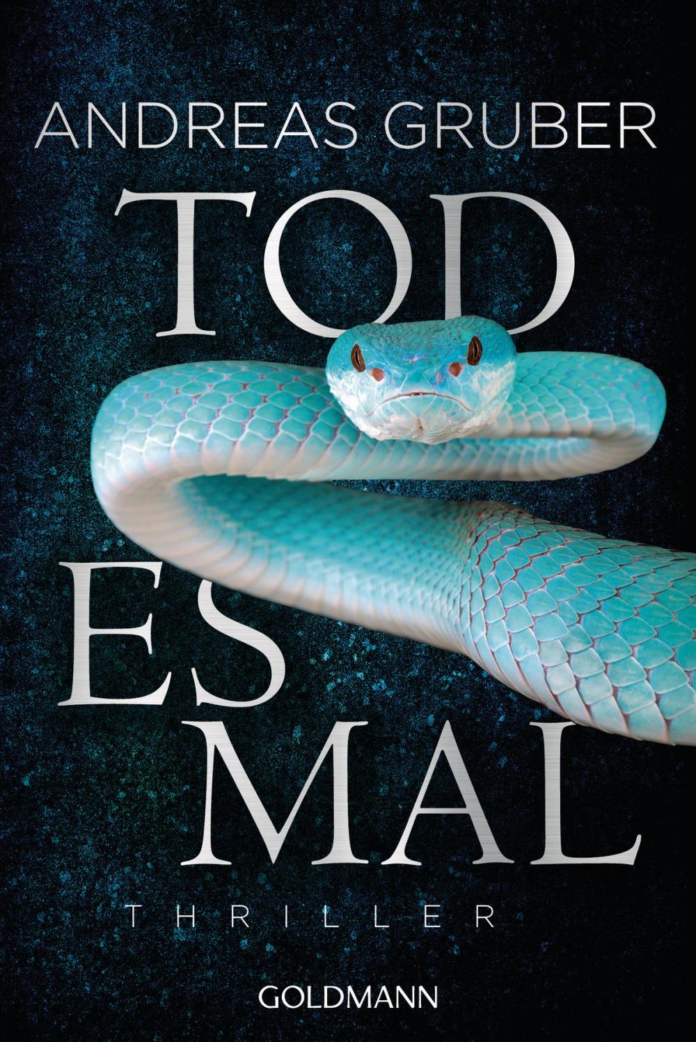 Big bigCover of Todesmal