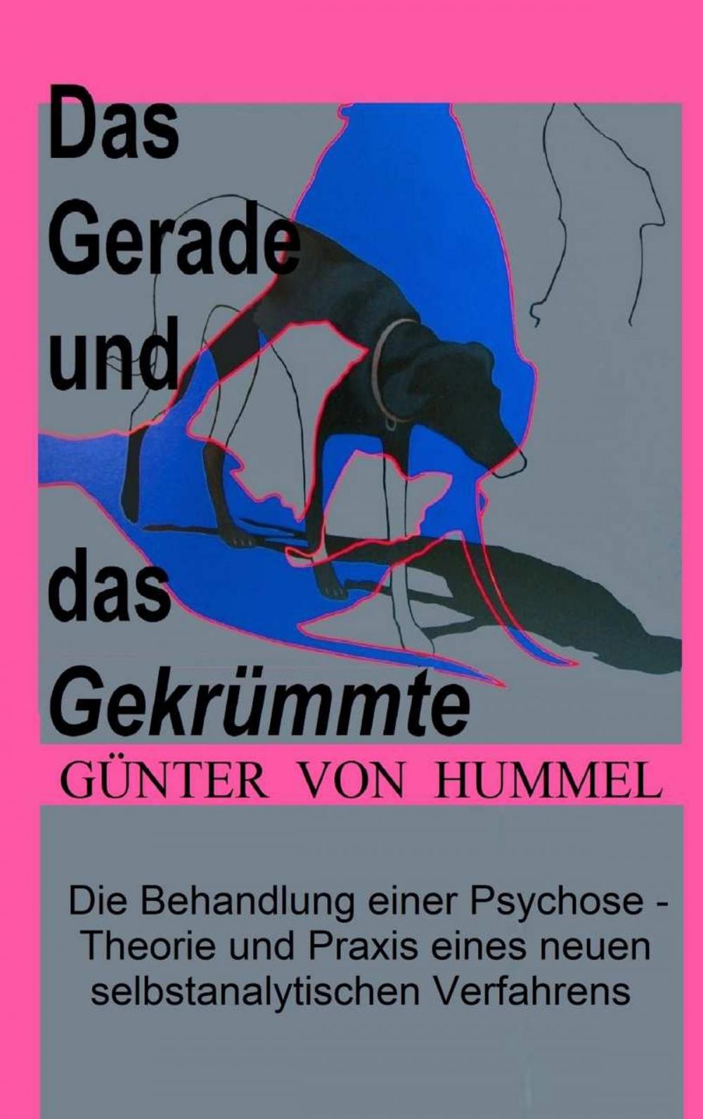 Big bigCover of Das Gerade und das Gekrümmte