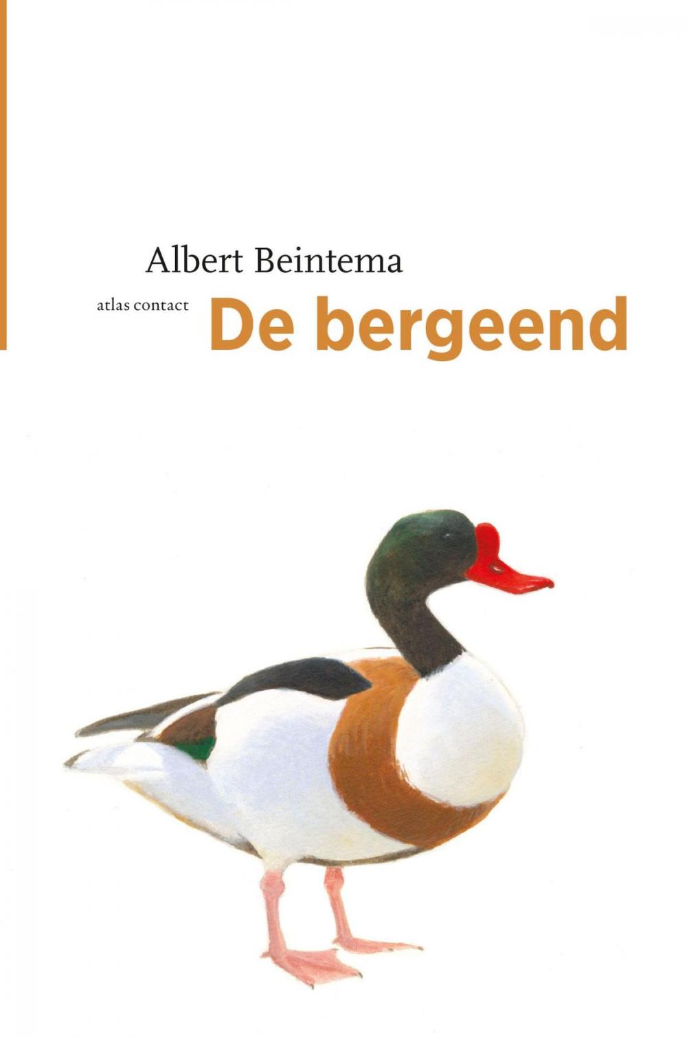 Big bigCover of De bergeend