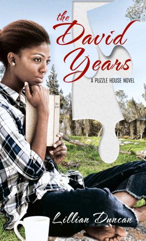 Cover of the book The David Years by Kristen Joy Wilks