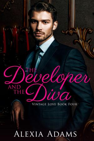 Cover of the book The Developer and The Diva (Vintage Love Book 4) by Ava Bell