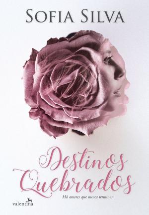 Book cover of Destinos Quebrados