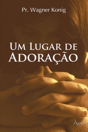Cover of the book Um lugar de adoração by T. Aristide Didier Chabi