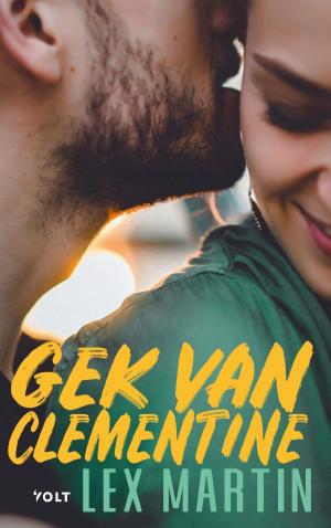 Cover of the book Gek van Clementine by Peter Morgan