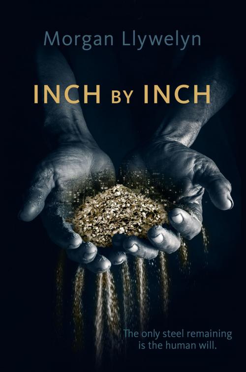 Cover of the book Inch by Inch by Morgan Llywelyn, Tom Doherty Associates