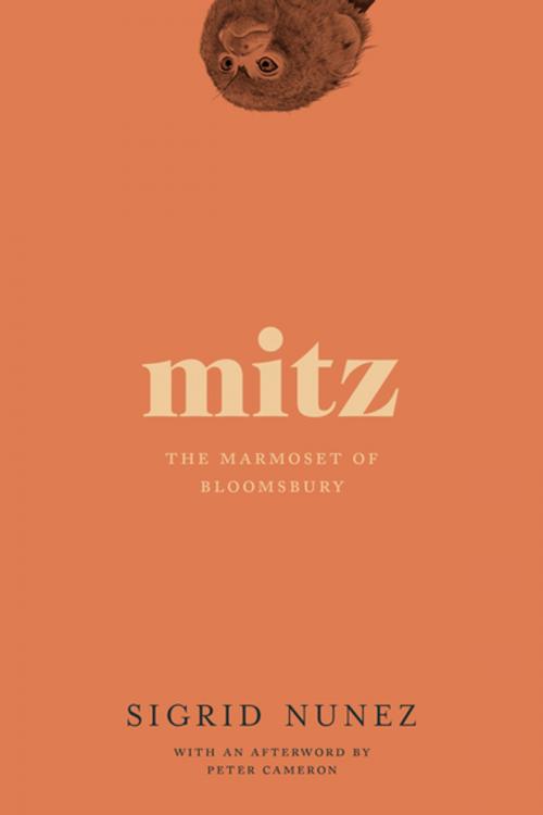 Cover of the book Mitz by Sigrid Nunez, Peter Cameron, Soft Skull Press