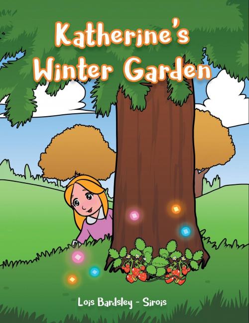 Cover of the book Katherine's Winter Garden by Lois Bardsley-Sirois, Stratton Press