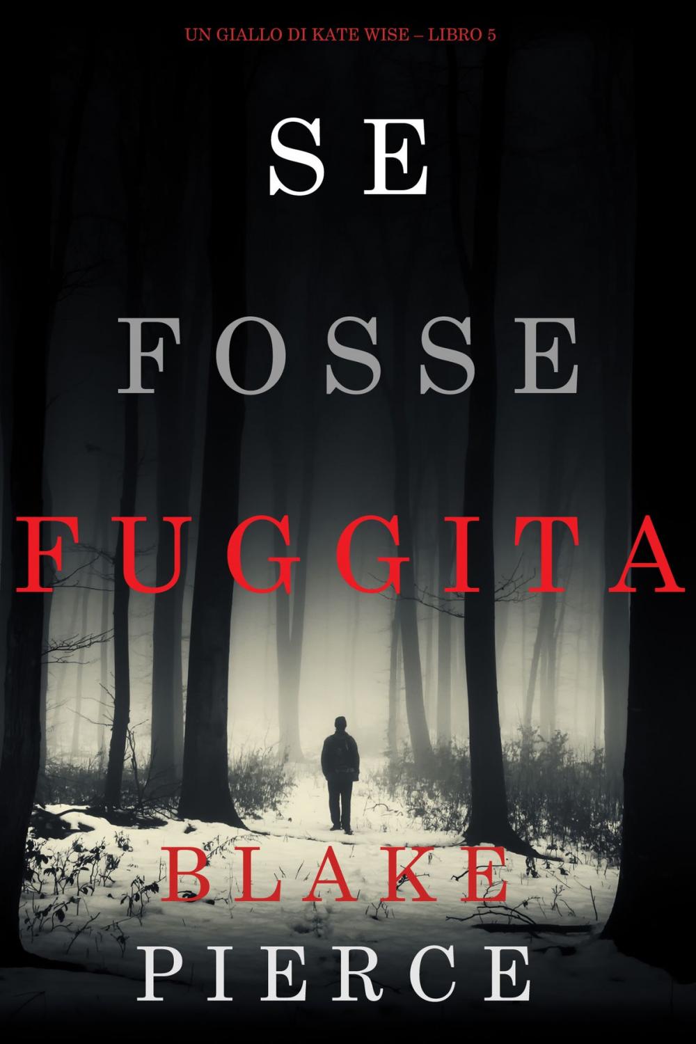 Big bigCover of Se fosse fuggita (Un giallo di Kate Wise – Libro 5)