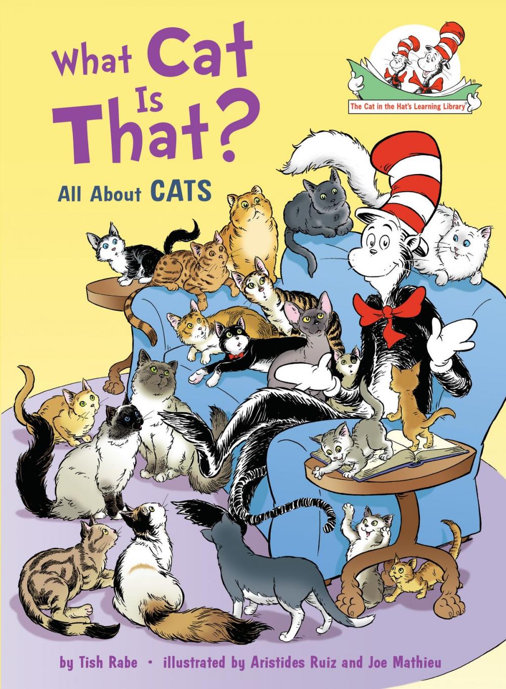 Big bigCover of What Cat Is That?