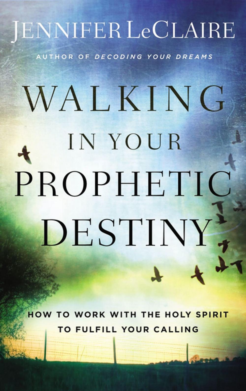 Big bigCover of Walking in Your Prophetic Destiny