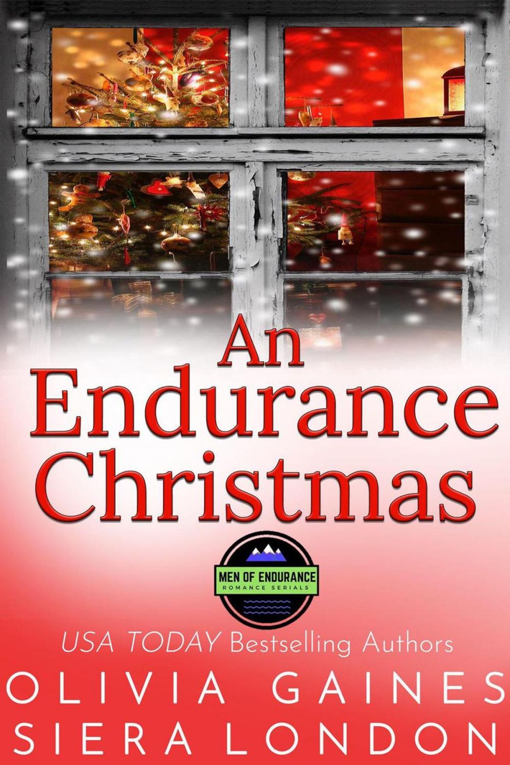 Big bigCover of An Endurance Christmas