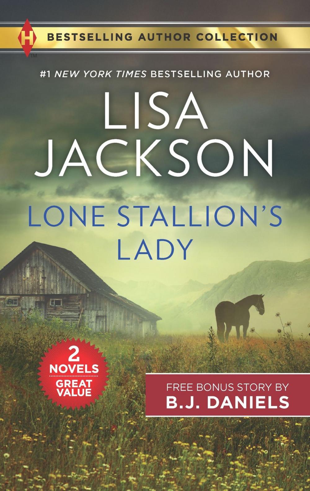 Big bigCover of Lone Stallion's Lady & Intimate Secrets