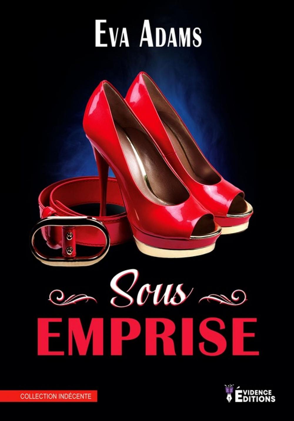 Big bigCover of Sous emprise