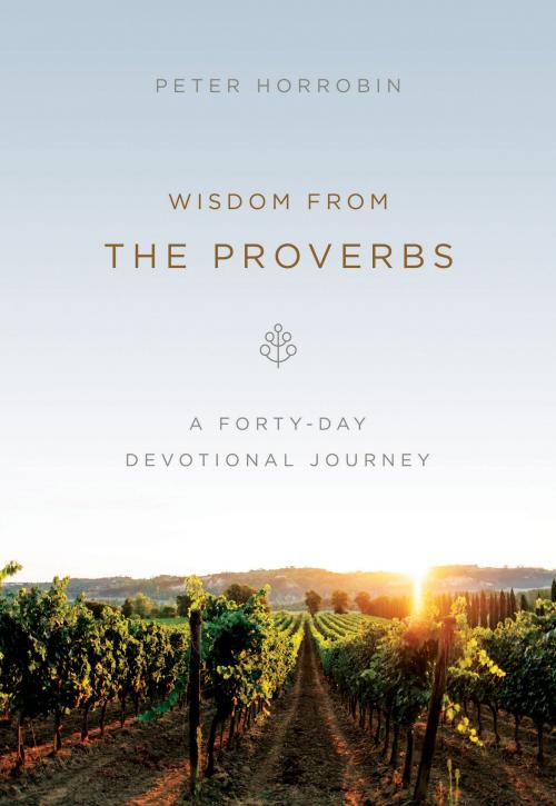 Cover of the book Wisdom from the Proverbs by Peter Horrobin, Baker Publishing Group