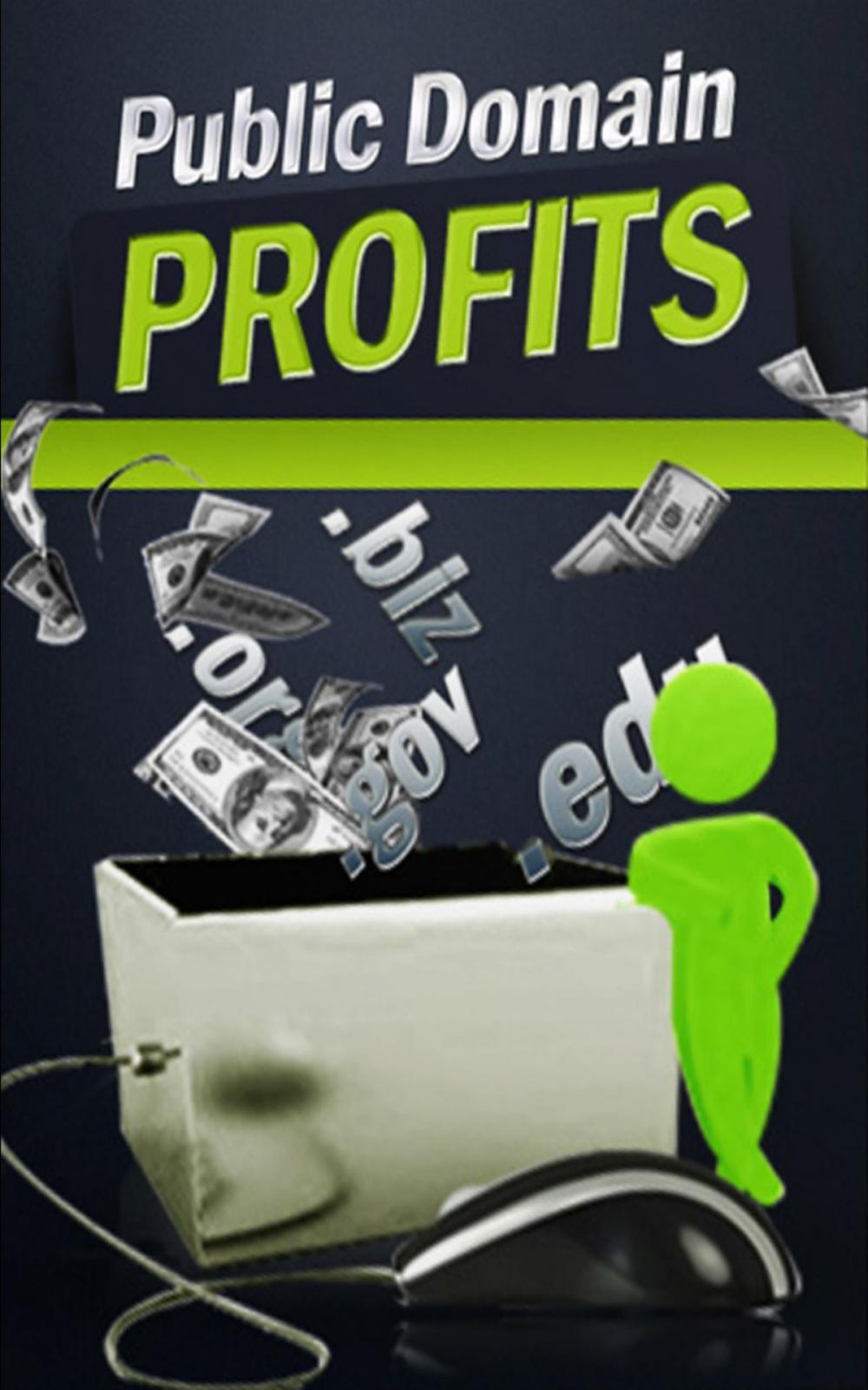 Big bigCover of Public Domain Profits