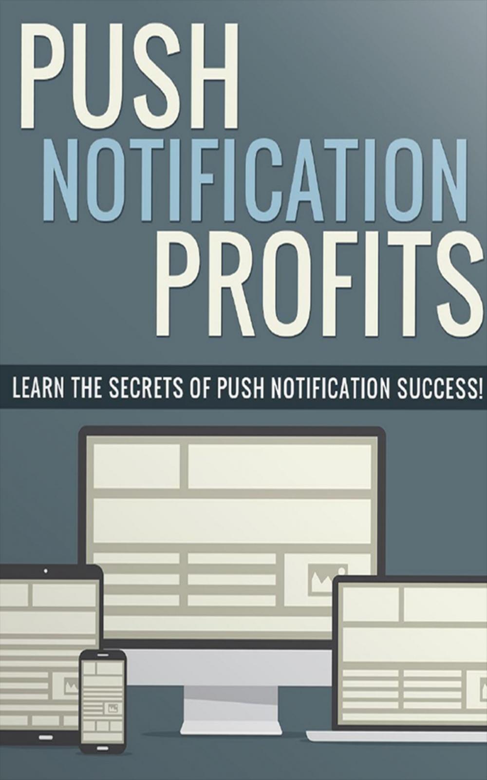 Big bigCover of Push Notification Profits