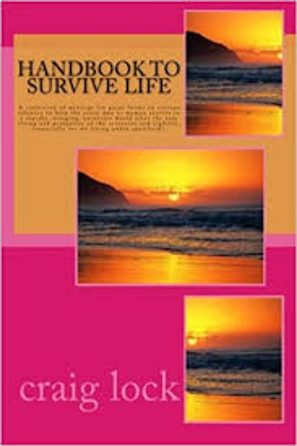 Big bigCover of Handbook to Survive Life (including audiolink/version)