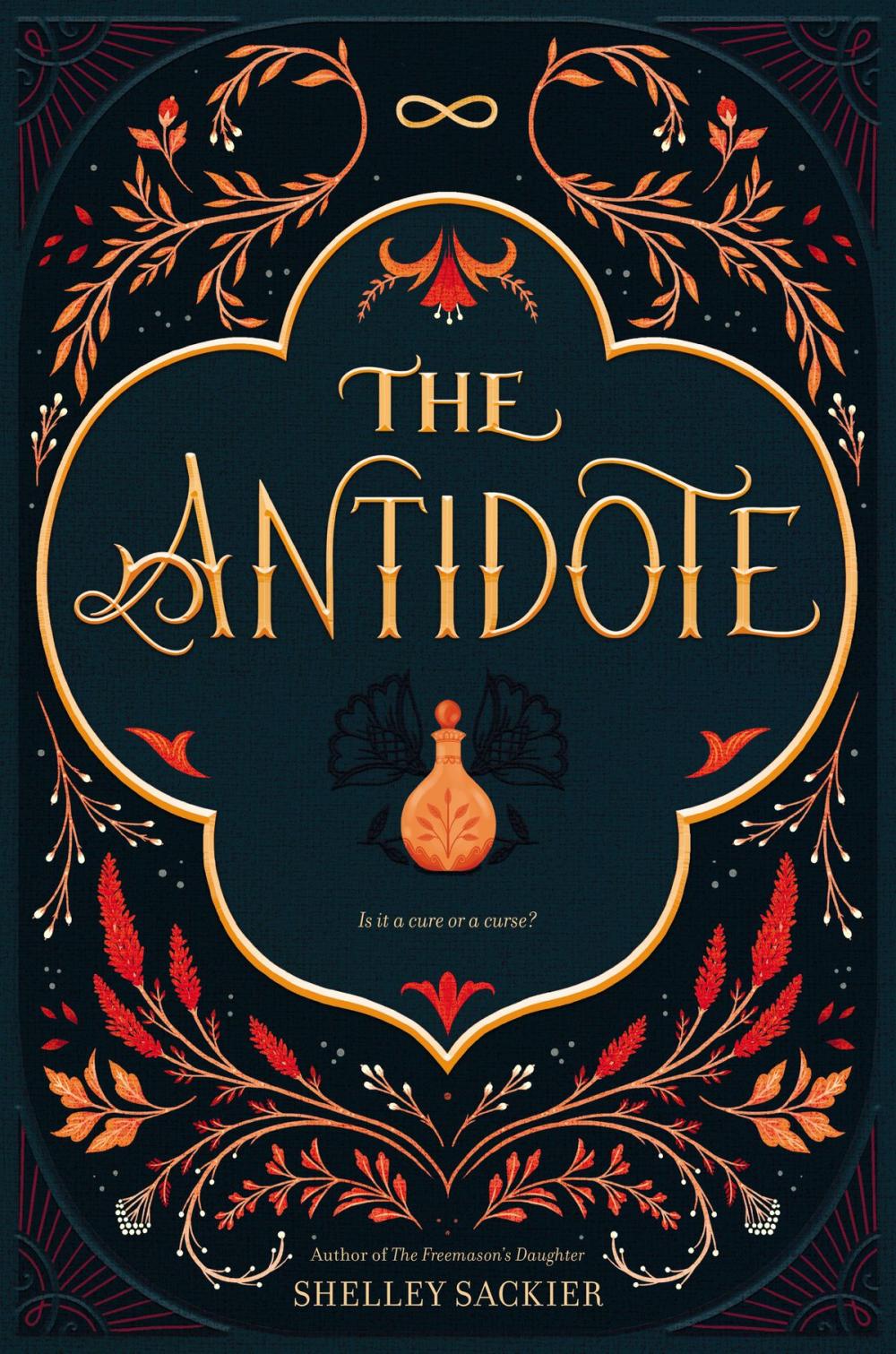 Big bigCover of The Antidote