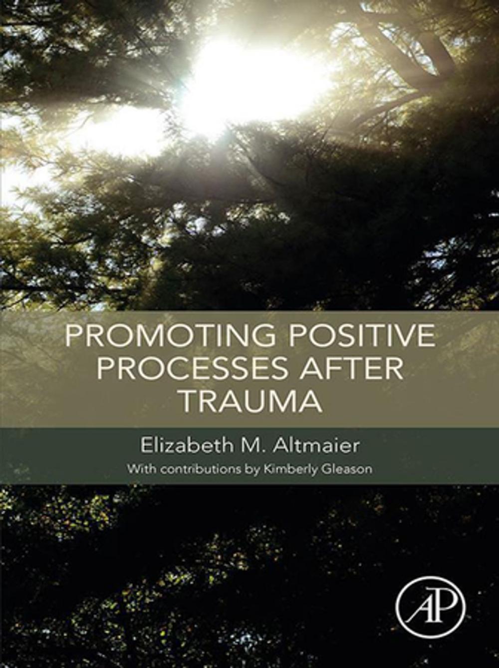 Big bigCover of Promoting Positive Processes after Trauma