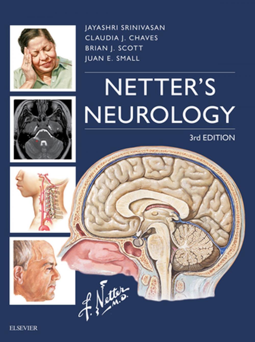 Big bigCover of Netter's Neurology E-Book