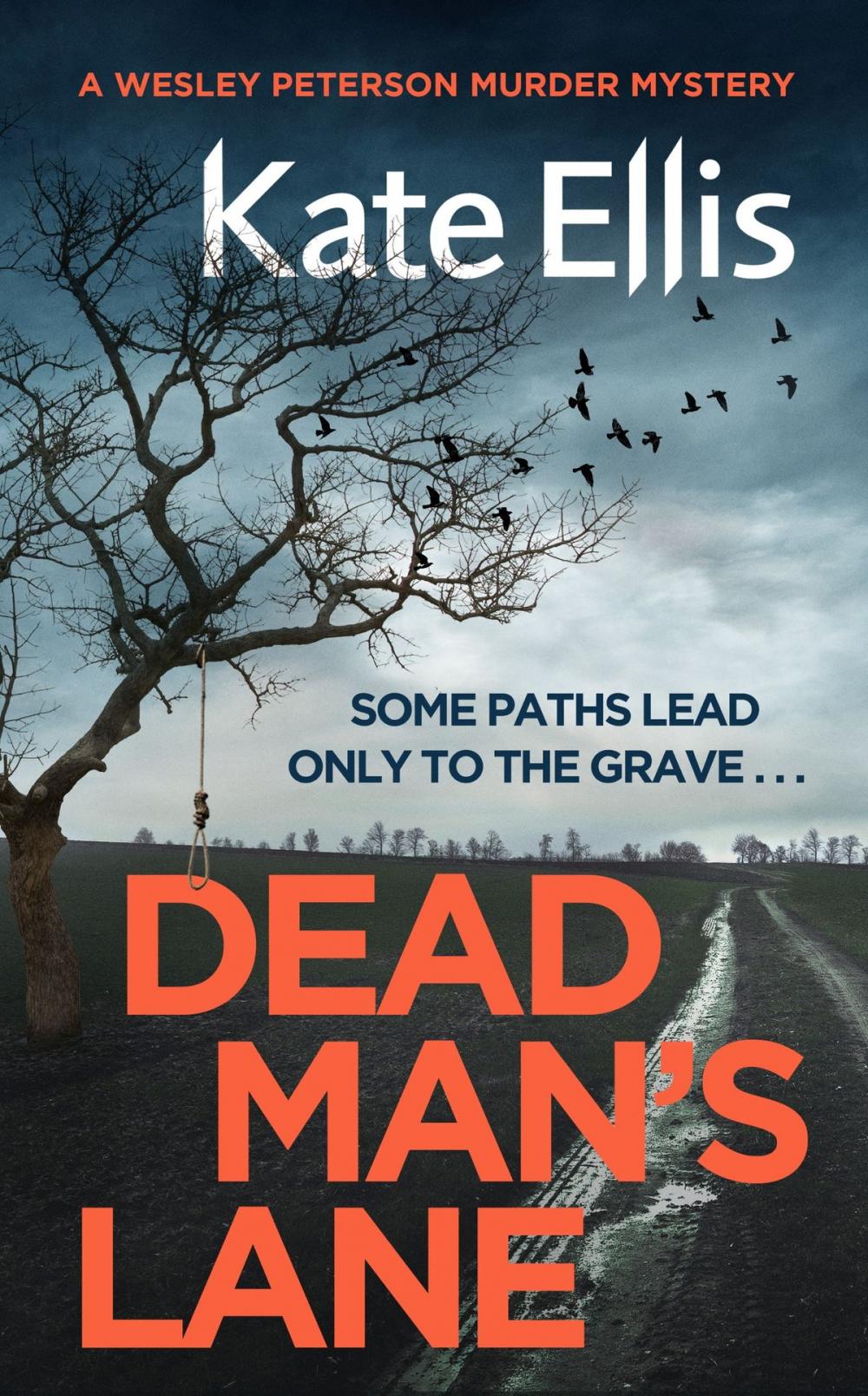 Big bigCover of Dead Man's Lane