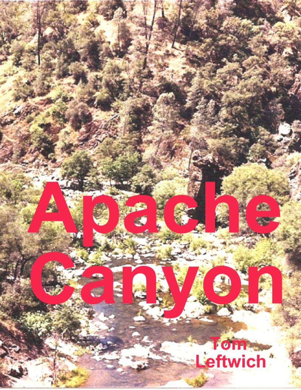 Big bigCover of Apache Canyon