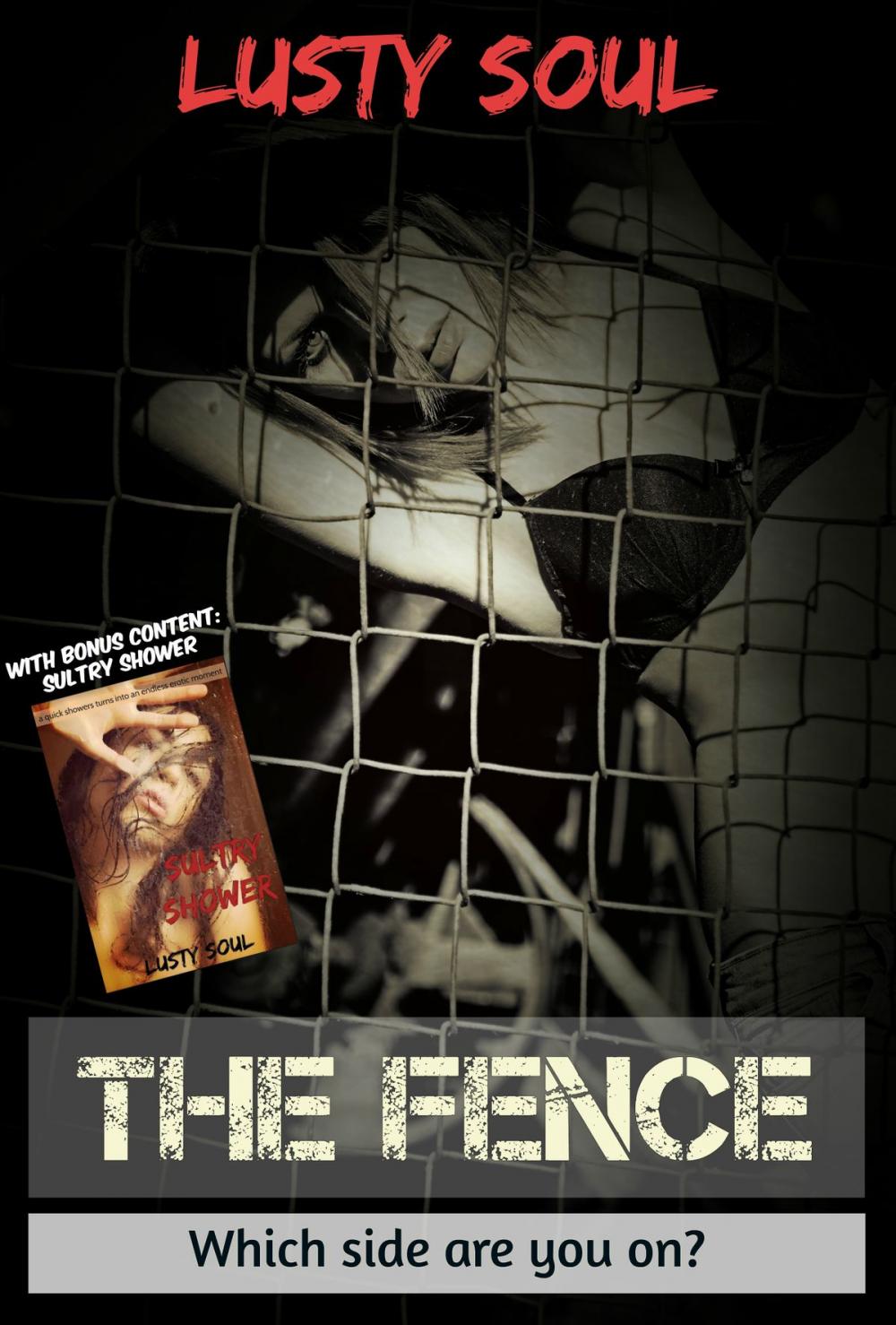 Big bigCover of The Fence