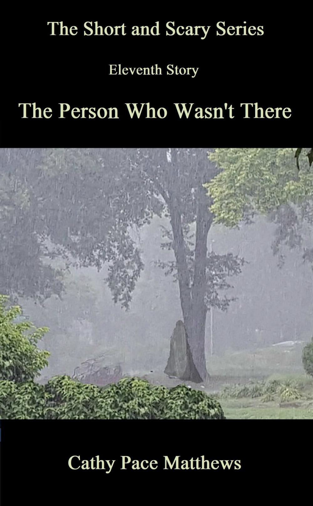 Big bigCover of 'The Short and Scary Series' The Person Who Wasn't There